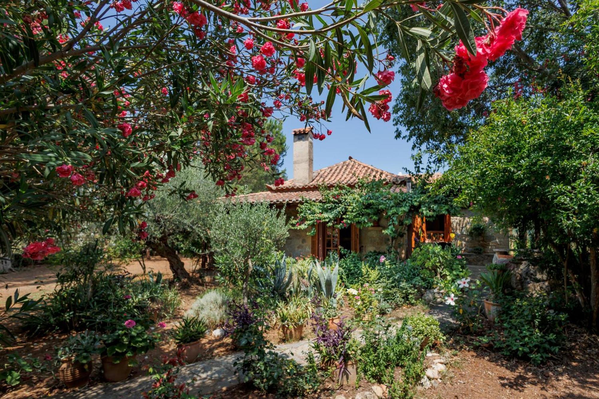 Spiti Nicola Villa Ступа Екстериор снимка